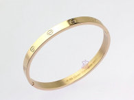 Cartier-Bracelet (472)