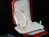 Cartier-Bracelet (429)