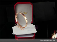 Cartier-Bracelet (410)