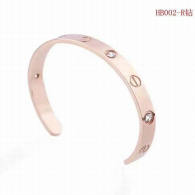Cartier-Bracelet (240)