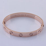 Cartier-Bracelet (511)