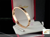Cartier-Bracelet (418)