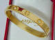 Cartier-Bracelet (584)