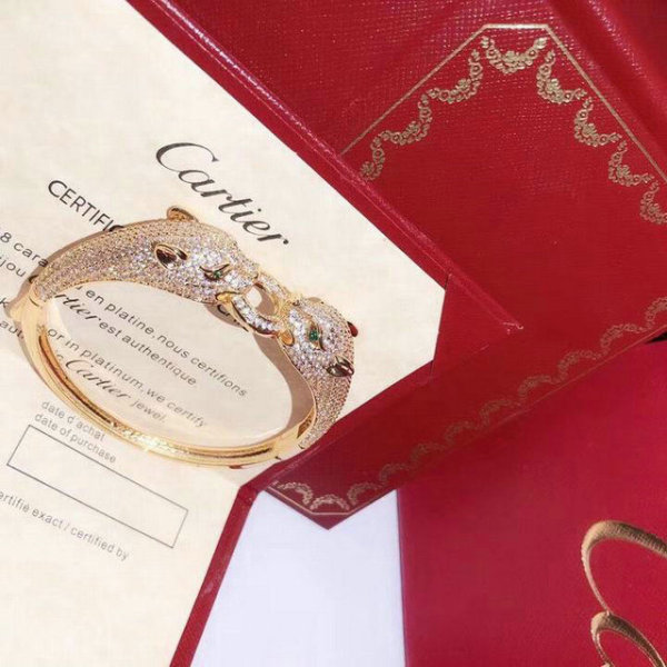 Cartier-Bracelet (268)