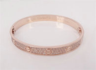 Cartier-Bracelet (206)