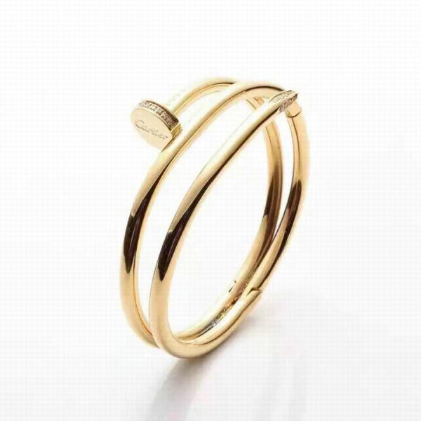 Cartier-Bracelet (546)