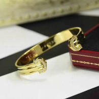 Cartier-Bracelet (233)