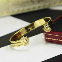 Cartier-Bracelet (233)