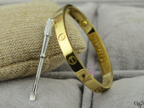 Cartier-Bracelet (454)