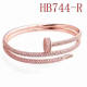 Cartier-Bracelet (558)