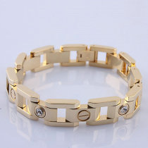 Cartier-Bracelet (518)