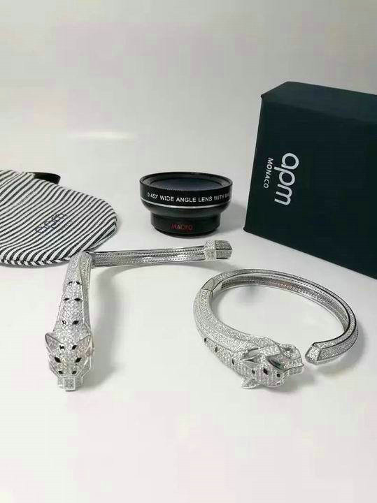 Cartier-Bracelet (283)