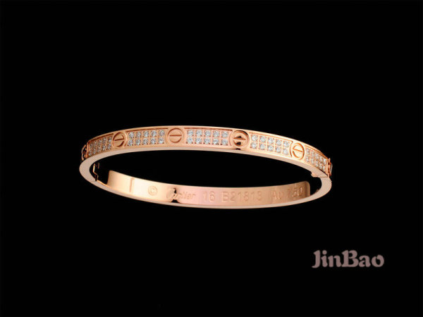 Cartier-Bracelet (305)