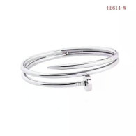 Cartier-Bracelet (362)