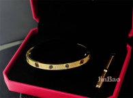 Cartier-Bracelet (309)