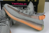 Authentic Y  350 V2 “True”