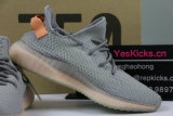 Authentic Y 350 V2 “True Form”