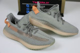 Authentic Y 350 V2 “True Form”
