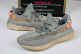 Authentic Y 350 V2 “True Form”