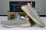 Authentic Y 350 V2 “True Form”