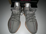 Authentic Y  350 V2 “True”