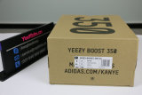 Authentic Y  350 V2 “True”