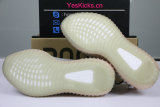 Authentic Y 350 V2 “True Form”