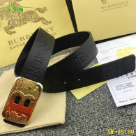 Burberry Belt 1:1 Quality (147)