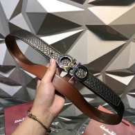 Ferragamo Belt 1:1 Quality (316)