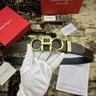 Ferragamo Belt 1:1 Quality (46)