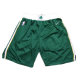 NBA Shorts (71)