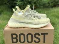 Authentic Y 350 V2 “Antlia”