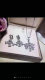 Bvlgari Suit Jewelry (61)