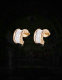 Bvlgari Earrings (226)