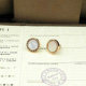 Bvlgari Earrings (215)