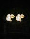 Bvlgari Earrings (225)