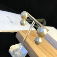 Celine Earrings (6)