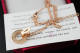 Cartier Necklace (47)