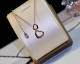 Cartier Necklace (23)