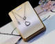 Cartier Necklace (22)