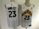 Toronto Raptors Jerseys (6)