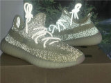 Authentic Y 350 V2 “Antlia” (full reflective)