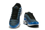 Air Max Plus Shoes - 129