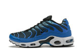 Air Max Plus Shoes - 129
