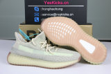 Authentic Y 350 V2 “Citrin”