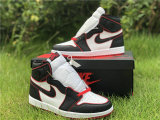 Authentic Air Jordan 1 “Who Said Man Was Not Meant To Fly”