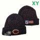 NFL Chicago Bears Beanies (38)