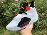 Authentic Air Jordan 33 “Future of Flight”