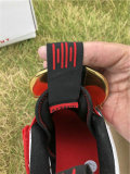 Authentic Air Jordan 33 “Future of Flight”