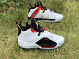 Authentic Air Jordan 33 “Future of Flight”